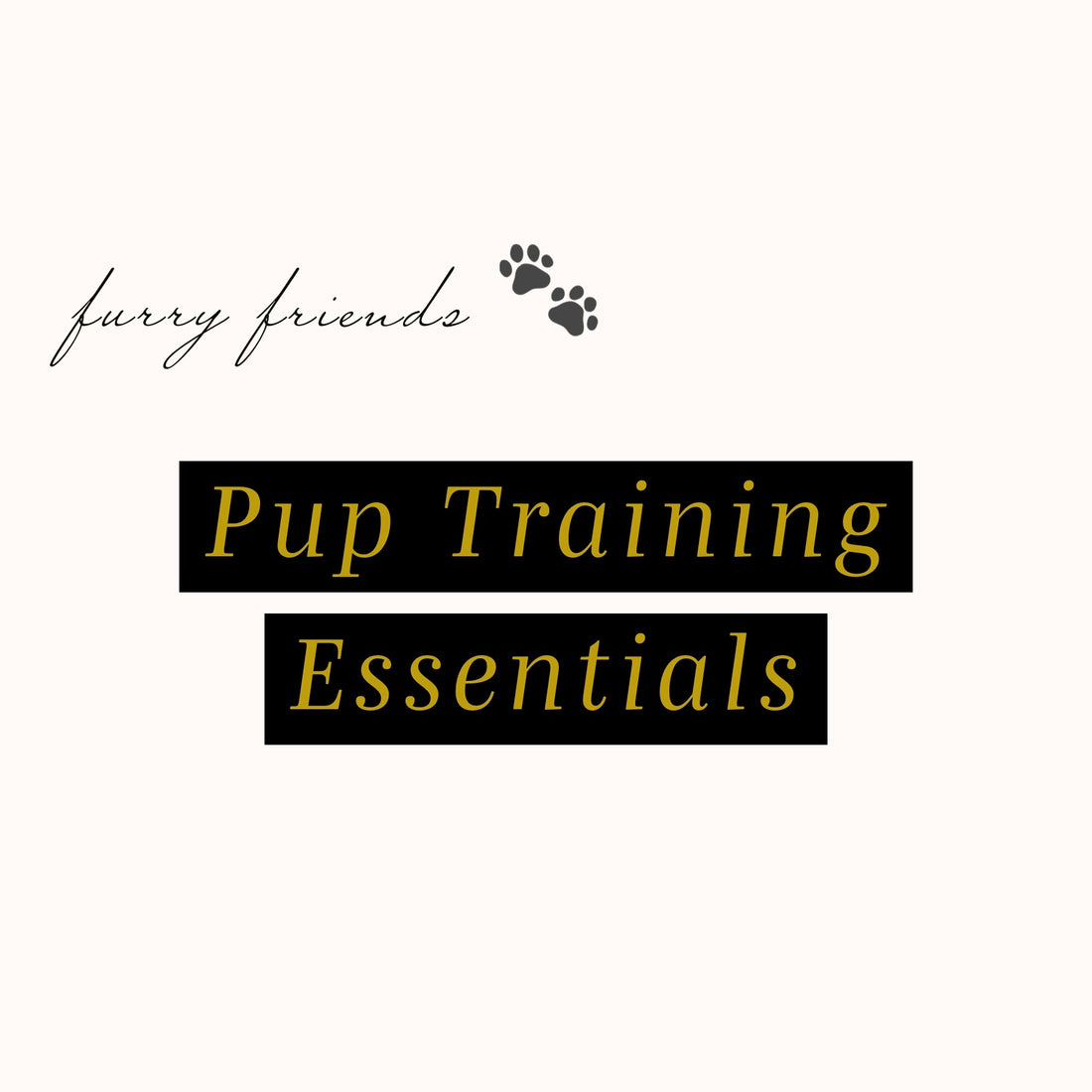 Dog Training Essentials 🐾