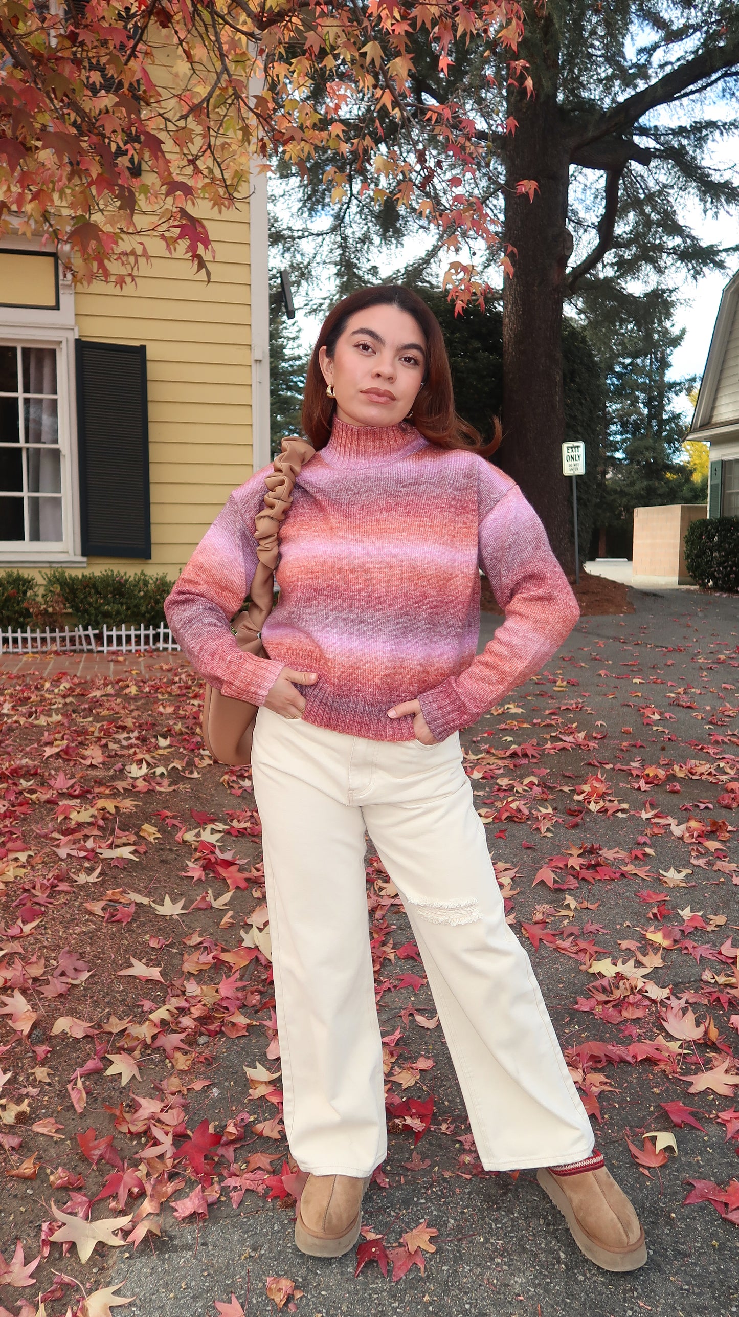 Alnus Multicolor Turtleneck Sweater