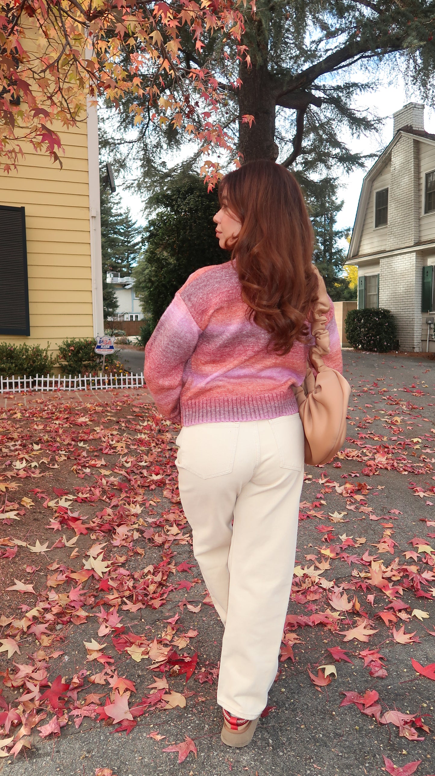 Alnus Multicolor Turtleneck Sweater